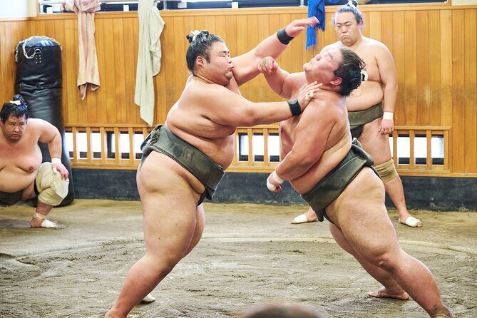 Tokyo: Sumo Morning Practice Viewing Tour at a Real Stable - Why This Tour Offers Great Value