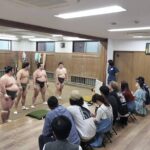 Tokyo Sumo Morning Practice with Guide  Ringside Live Training - Final Thoughts – Who Should Book?