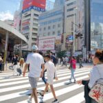 Tokyo Tailored 4 Hours Private Guided Tour - Why This Tour Stands Out