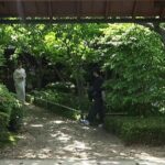 TOKYO: Tailored Gardens Tour with Pro Gardener by E-bike FULL-DAY - The Itinerary: What to Expect