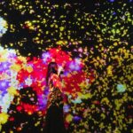 Tokyo: teamLab Planets & Toyosu Fish Market Guided Tour - What Makes This Tour Stand Out?