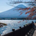 Tokyo to Mount Fuji Private Guided Experiences - Who Should Consider This Tour?