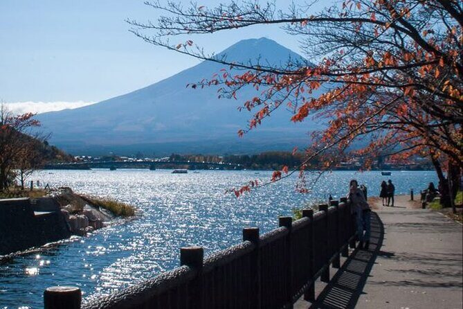 Tokyo to Mount Fuji Private Guided Experiences - Who Should Consider This Tour?