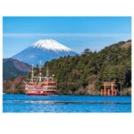 Tokyo to Mt. Fuji & Hakone: Private Customizable Day Trip - Why This Tour Works Well