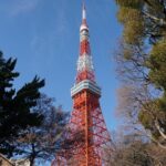 Tokyo, Top 3 Hidden Tokyo Tower Photo Spots and Local Shrine Tour - A Closer Look at the Tour Experience