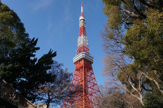 Tokyo, Top 3 Hidden Tokyo Tower Photo Spots and Local Shrine Tour - A Closer Look at the Tour Experience
