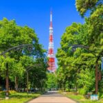 Tokyo Tower Observatory TOP DECK TOUR 150m + 250m (Special Deal) - Why This Tour Will Suit You