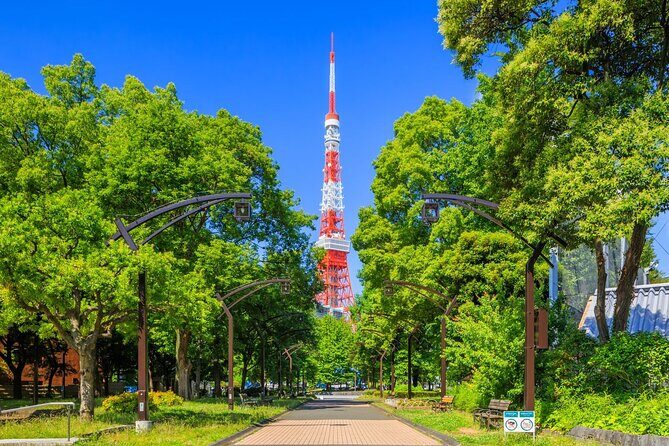 Tokyo Tower Observatory TOP DECK TOUR 150m + 250m (Special Deal) - Why This Tour Will Suit You