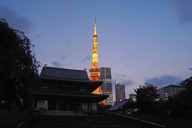 Tokyo Tower Sunset Shared Tour - Who Should Consider This Tour?