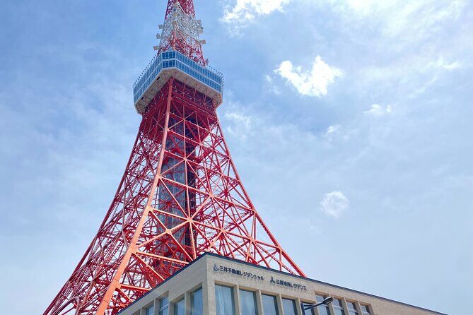 Tokyo Tower & Zojoji Temple Tour (Includes Tokyo Tower Ticket) - Who Will Love This Tour?