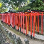 Tokyo: Traditional Backstreets Yanaka Walking Tour - Value and Practicality
