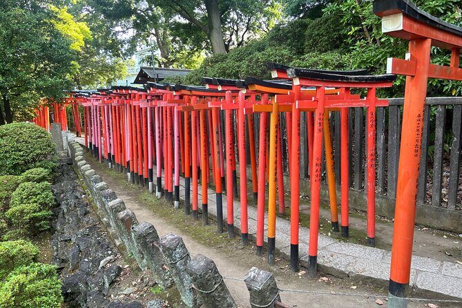 Tokyo: Traditional Backstreets Yanaka Walking Tour - Value and Practicality