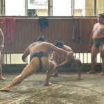 Tokyo: Visit Sumo Morning Practice with English Guide - An In-Depth Look at the Sumo Morning Practice Tour