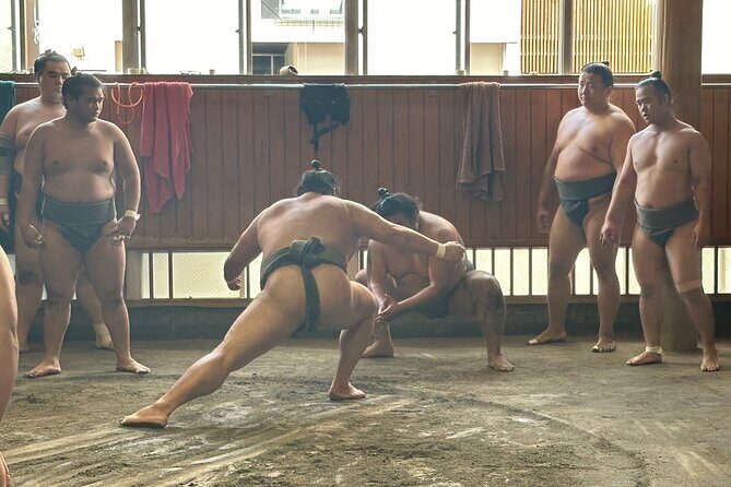 Tokyo: Visit Sumo Morning Practice with English Guide - An In-Depth Look at the Sumo Morning Practice Tour