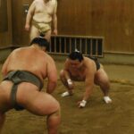 Tokyo: Visit To Sumo Stable & Watch Morning Practice - Why It’s Worth the Price