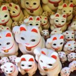 Tokyo: We Love Shibuya, Hachiko and the Lucky Cat Temple - Final Thoughts