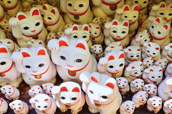 Tokyo: We Love Shibuya, Hachiko and the Lucky Cat Temple - Final Thoughts