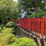 Tokyo : Yanaka and Nezu-Old Traditional Town Cultural Experience - Why This Tour Works for You