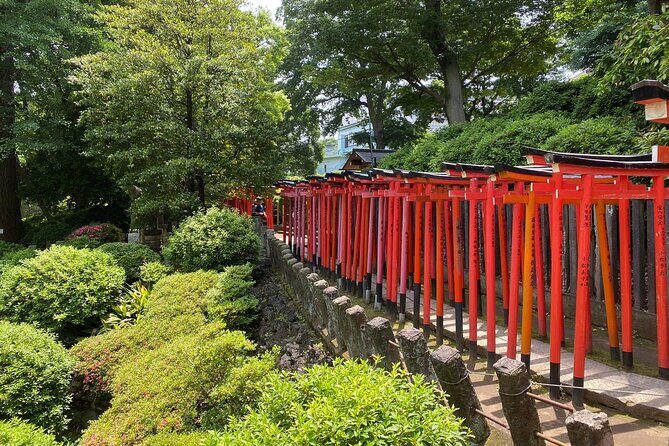 Tokyo : Yanaka and Nezu-Old Traditional Town Cultural Experience - Why This Tour Works for You