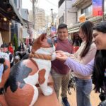 Tokyo Yanaka Old Town Walking Tour (Private/Local guide) - FAQ