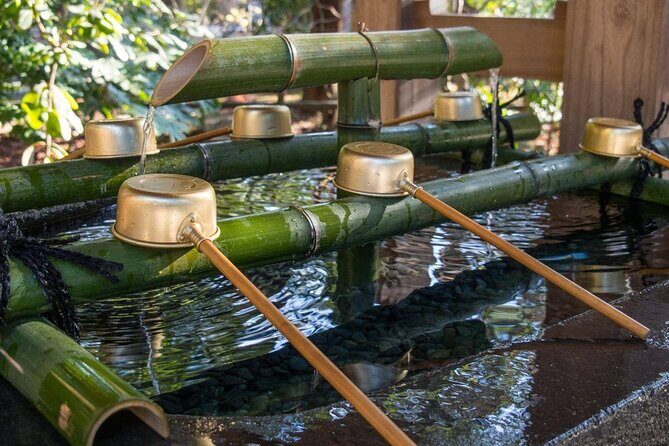 Tokyo Yokohama Night View Tour With Kamakura And Enoshima Island - Who Will Love This Tour?