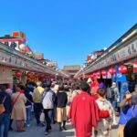 Tokyo:Meiji Shrine,Imperial Palace,Asakusa,Odaiba,cruise - The Sum Up