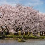 Toyama Private Customizable Full Day Tour - Frequently Asked Questions