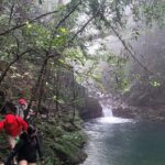 Transfer from Hue to Da Nang or Hoi An via Bach Ma National Park - The Drive Over Hai Van Pass: A Classic Vietnam Viewpoint