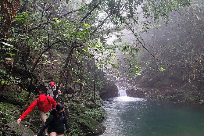 Transfer from Hue to Da Nang or Hoi An via Bach Ma National Park