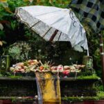 Transformative Journey of Holistic Self-Discovery - Who Is This Tour Best For?