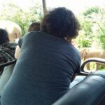 Travel to Ella from Galle with Udawalawe national park safari on the way - A Detailed Look at the Tour Experience