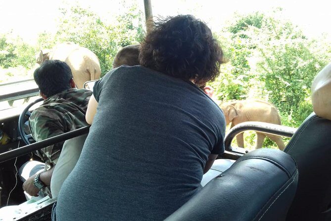 Travel to Ella from Galle with Udawalawe national park safari on the way - A Detailed Look at the Tour Experience