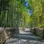 Traversing Kyoto's Scenic West - Arashiyama to Kinkakuji - Who This Tour Is Best For