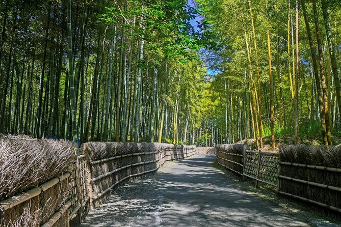 Traversing Kyoto's Scenic West - Arashiyama to Kinkakuji - Who This Tour Is Best For