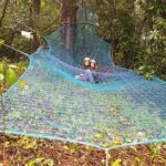 Tree Top Adventure - Who Should Consider This Tour?