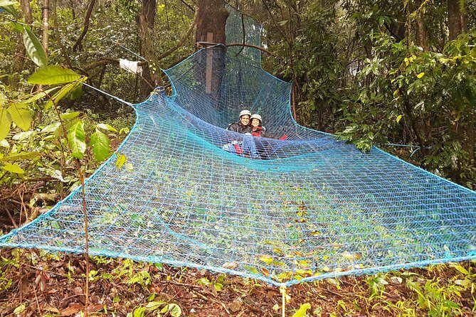 Tree Top Adventure - Who Should Consider This Tour?