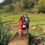 Trek to Little Adam's Peak and Nine Arches Bridge In Ella - The Practical Side of the Tour