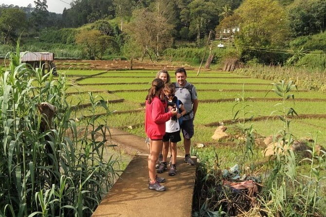 Trek to Little Adam's Peak and Nine Arches Bridge In Ella - The Practical Side of the Tour
