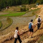 Trekking 1 circle the local village to admire Muong Hoa valley - Summary: Who This Tour Is Best For