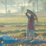 Trekking and Sightseeing tour with lunch - The Practicalities: What You Need to Know