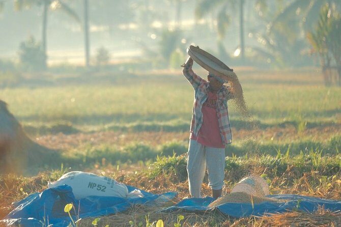 Trekking and Sightseeing tour with lunch - The Practicalities: What You Need to Know