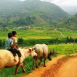 Trekking to Ta Phin, pick medicinal leaves and herbs. - Final Thoughts