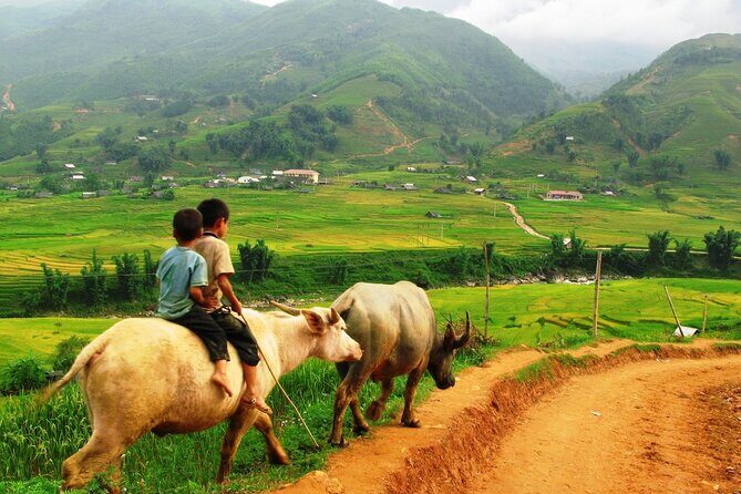 Trekking to Ta Phin, pick medicinal leaves and herbs. - Final Thoughts