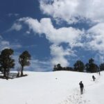 Trek's around Mussoorie - Authenticity and Review Highlights