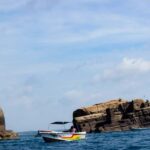 Trincomalee: All Inclusive Whale&Dolphin Watching Boat Tour - Why This Tour Offers Great Value