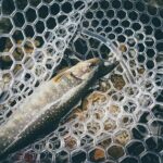 Trout Fishing in Miyazaki Mountains - Who Will Love This Tour?