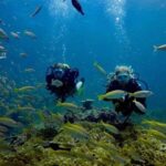 Try Scuba Diving - Summary: Who Should Book?