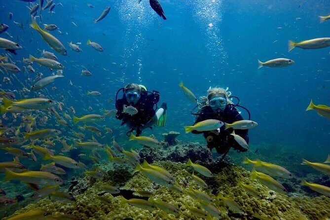 Try Scuba Diving - Summary: Who Should Book?