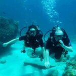 Try Scuba Diving at Padang Bai - Final Thoughts
