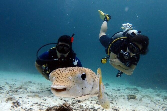 Try Scuba Diving in Racha Yai and Noi for Non-Certified - Why This Tour Is a Great Value